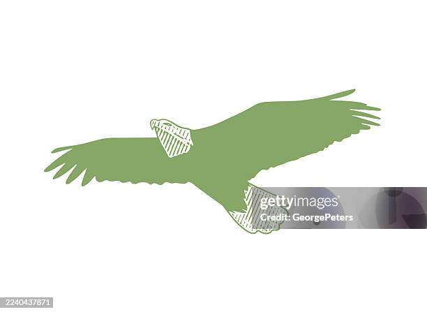 bald eagle in flight, cut out - cloud migration stock illustrations