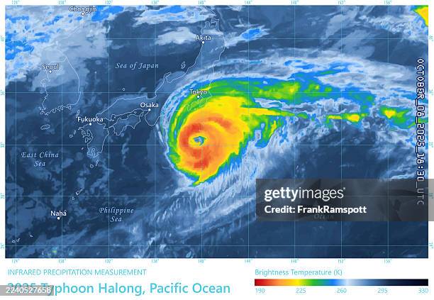 typhoon halong 20251008 precipitation map japan - heavy rain stock illustrations