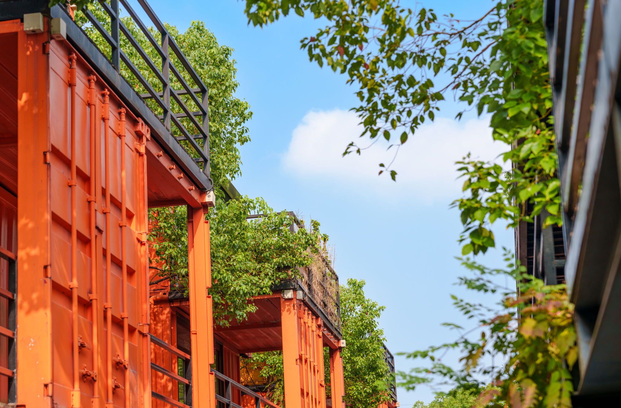 container house tropical