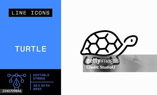 Turtle Single Line Icon Turtle Single Line Icon