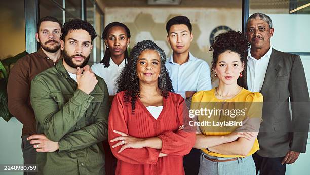serious and confident diverse business team group portrait - human age stock pictures, royalty-free photos & images