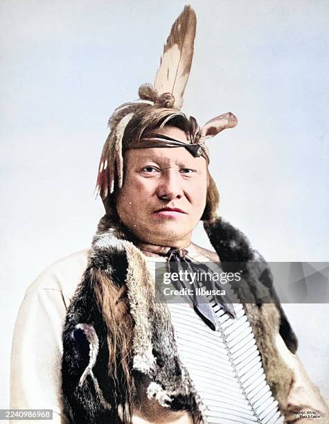 portrait of common people from 1894: rain-in-the-face, sioux - sioux reservation stock illustrations