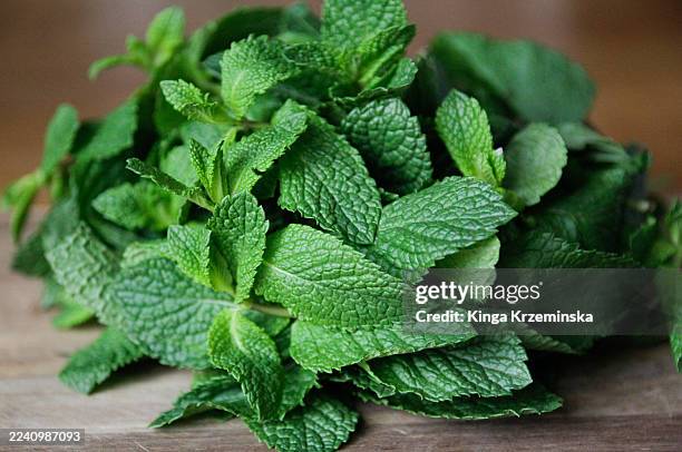 peppermint - spearmint stock pictures, royalty-free photos & images