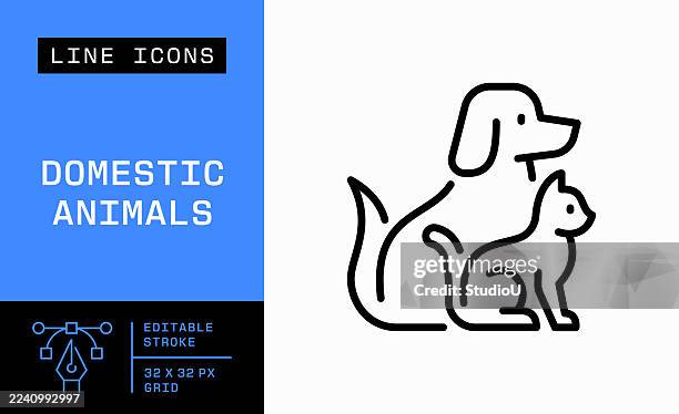 ilustrações de stock, clip art, desenhos animados e ícones de kitten and puppy single line icon - filhote de animal
