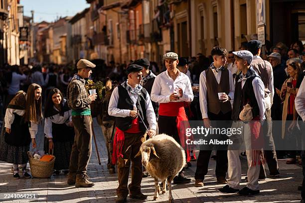 les habitants s’habillent en vêtements d’époque lors du traditionnel festival des vendanges de toro. le défilé de charrettes décorées propose un événement sur le thème du vin. vendange - castille et leon photos et images de collection