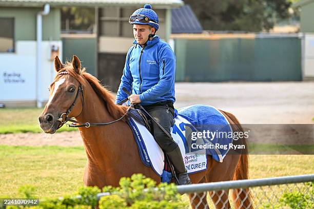 Fabio Marcialis rides Flatten the Curve during International horses trackwork at Werribee Racecourse on October 17, 2025 in Werribee, Australia.