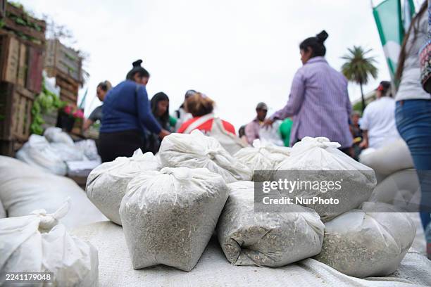The Argentine Agri-Food Roundtable holds a food giveaway in Plaza de Mayo, Buenos Aires, Argentina, on October 16 distributing large quantities of...