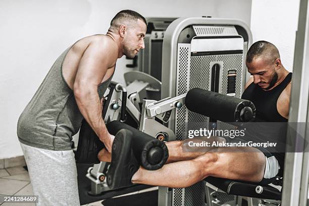 powerful gym moment: two men train intensely on leg extension machine in indoor facility - hamstring machine stock pictures, royalty-free photos & images