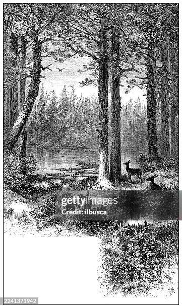 bildbanksillustrationer, clip art samt tecknat material och ikoner med plymouth county, massachusetts - massachusettsbukten