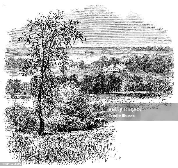 bildbanksillustrationer, clip art samt tecknat material och ikoner med plymouth county, massachusetts, webster place, marshfield - massachusettsbukten