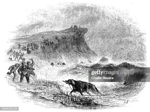 bildbanksillustrationer, clip art samt tecknat material och ikoner med plymouth county, massachusetts, wreck and rescue - massachusettsbukten