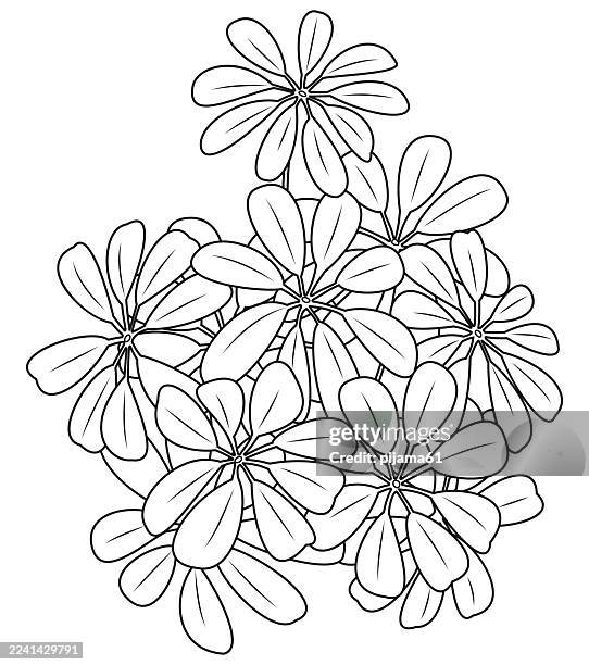 tropical leaves on a white background. - potted flowers stock illustrations
