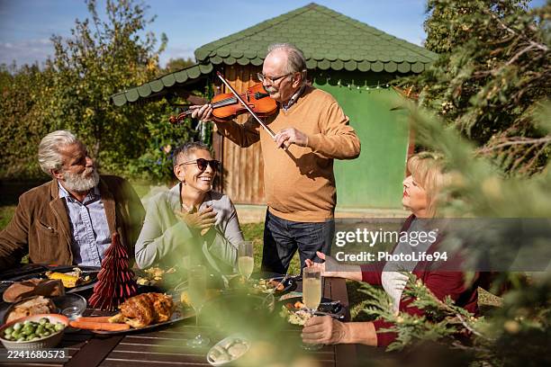 enjoying the holidays with music in the yard - violin stock pictures, royalty-free photos & images