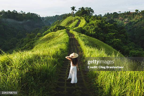 young beautiful woman walking on campuhan ridge way of artists, in bali, ubud - bali stock-fotos und bilder