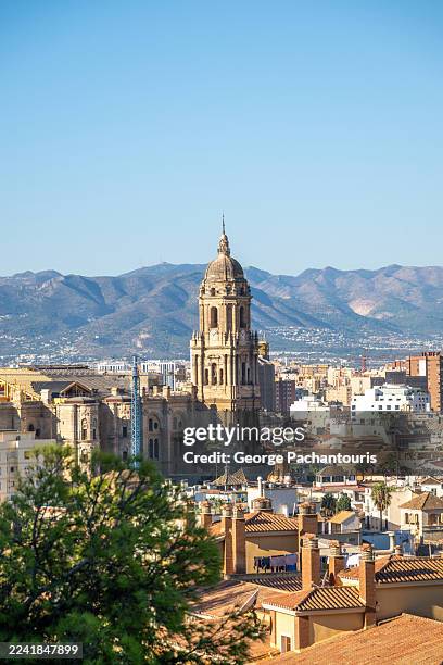 malaga cityscape with the cathedral standing out - malaga photos et images de collection