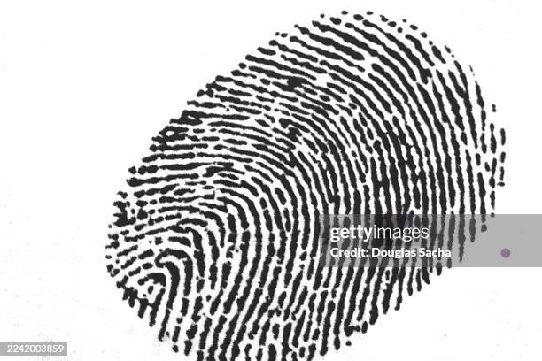 individual fingerprint close-up view - responsabilidad policial fotografías e imágenes de stock