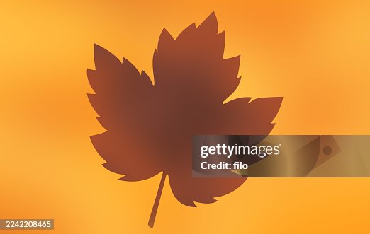 Autumn Fall Maple Leaf Shape Abstract Background Frame Border Edge Autumn Fall Maple Leaf Shape Abstract Background Frame Border Edge