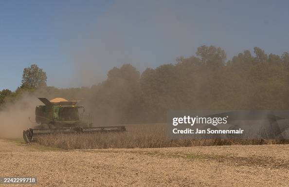 Soybean Harvest In Marion, Kentucky Soybean Harvest In Marion, Kentucky