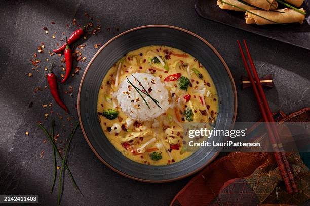 vietnamese chicken curry soup with rice - curry powder stock pictures, royalty-free photos & images