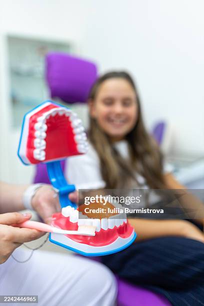 child dental education scene: dentist demonstrates brushing with teeth model to smiling kid patient - dentin stock pictures, royalty-free photos & images