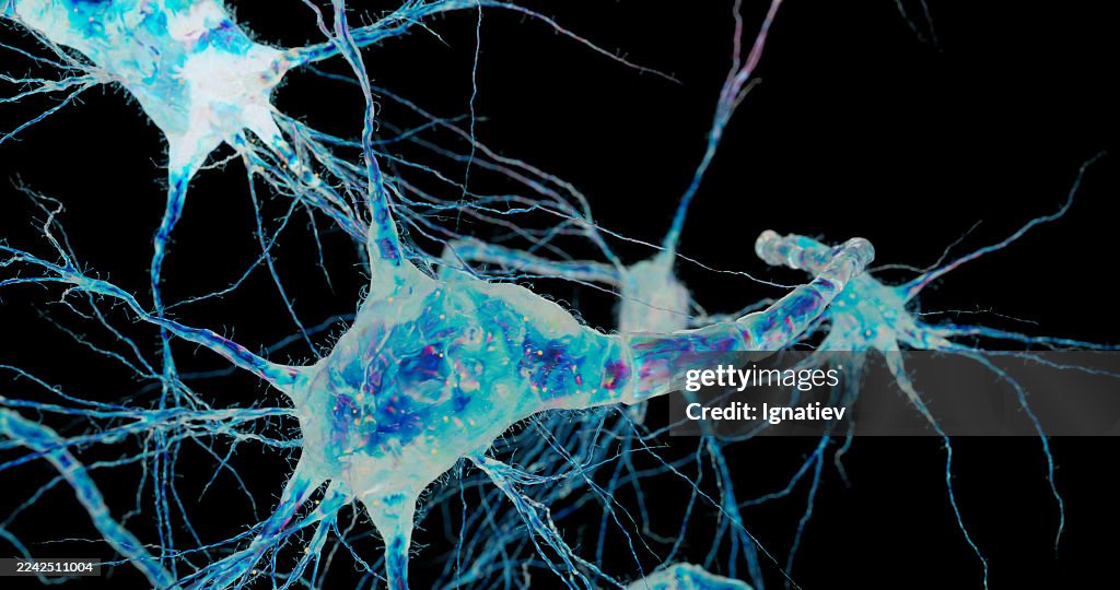 Leuchtende Neuronencluster veranschaulichen die wissenschaftliche Erforschung von Gehirnnetzwerken.