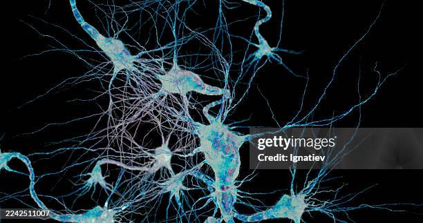 neurons connect in a brilliant blue matrix of energy and life. - neuropathy stock pictures, royalty-free photos & images
