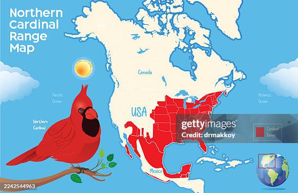 bildbanksillustrationer, clip art samt tecknat material och ikoner med northern cardinal range map - mammoth cave nationalpark