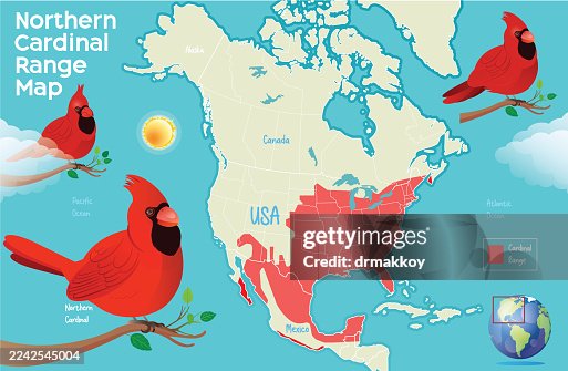 Northern Cardinal Range Map Northern Cardinal Range Map