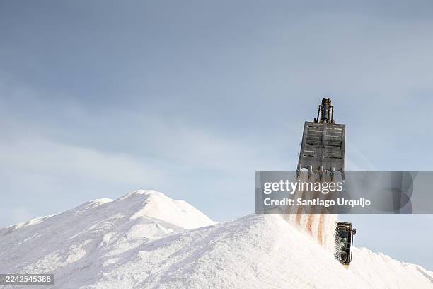 excavator unloading salt on a salt heap - construction vehicle stock pictures, royalty-free photos & images