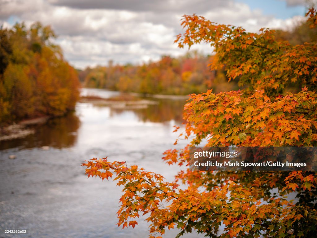 Autumn in London, Canada.
