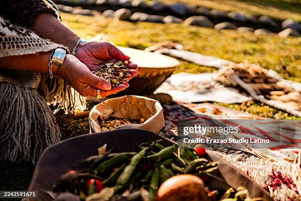 21,143 Aboriginal Ceremony Stock Photos, High-Res Pictures, and