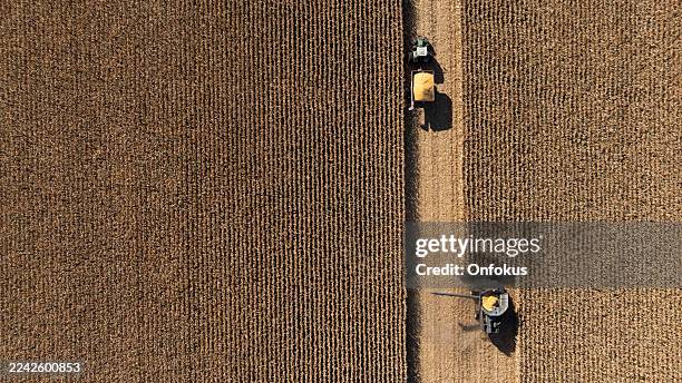 vista aérea de un tractor y maquinaria agrícola cosechando un campo de maíz, quebec, canadá. - campo arado fotografías e imágenes de stock