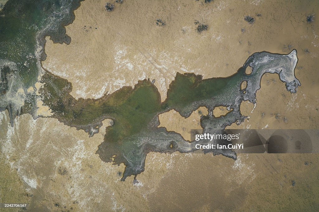 Aerial View of Desert Wetlands, Ejin Banner, Inner Mongolia, China