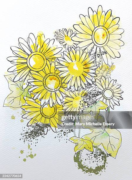 daisies - chamomile stock illustrations