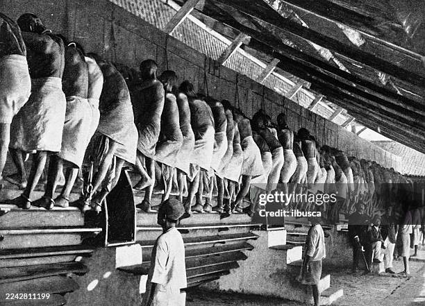 prisoners on the treadmill, rangoon - politics and government stock illustrations