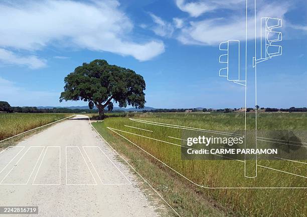 ilustraciones, imágenes clip art, dibujos animados e iconos de stock de nueva calle en el campo - paso peatonal raya indicadora