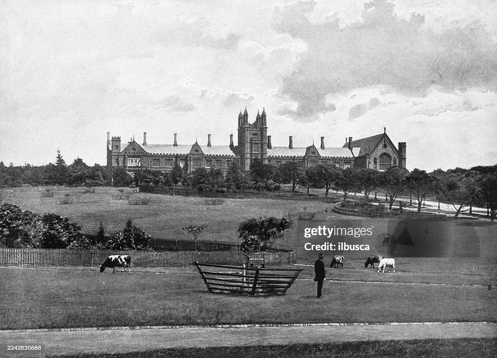 University of Sydney