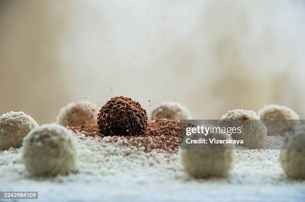 round candies in coconut flakes - chocolate truffle stock pictures, royalty-free photos & images