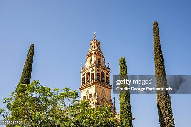 mosque-cathedral of cordoba bell tower and cypress trees in sunlight - zypresse stock-fotos und bilder