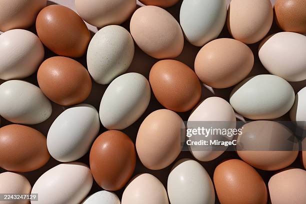 eggs with various shell colors mixed together - oeuf photos et images de collection
