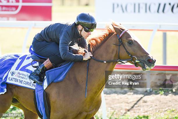 Flatten the Curve ridden by Thore Hammer - Hansen during trackwork at Werribee Racecourse on October 28, 2025 in Werribee, Australia.