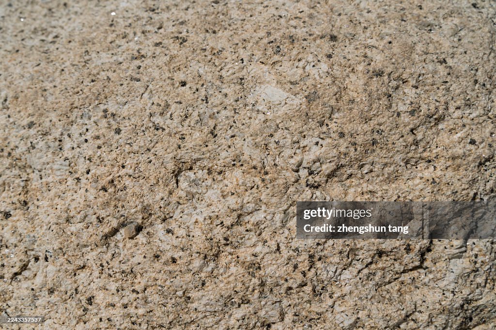 Rough Stone Surface Texture in Natural Light