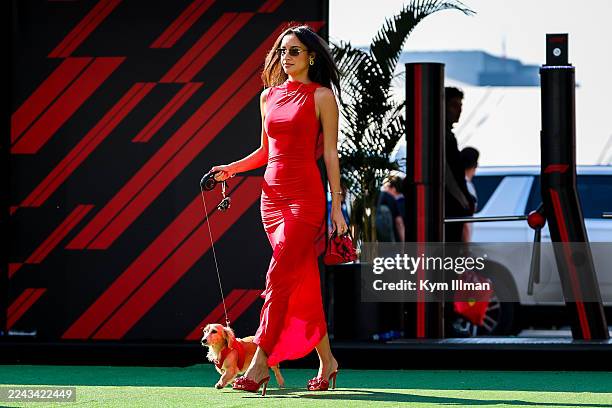 alexandra saint mleux red dress Alexandra Saint Mleux Red Dress