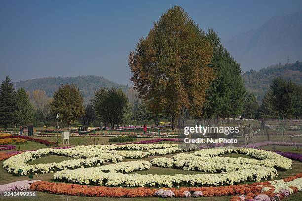 Indian policemen guard at the newly opened Chrysanthemum Garden in Srinagar, Jammu and Kashmir, on October 29, 2025. Chrysanthemum flowers, locally...