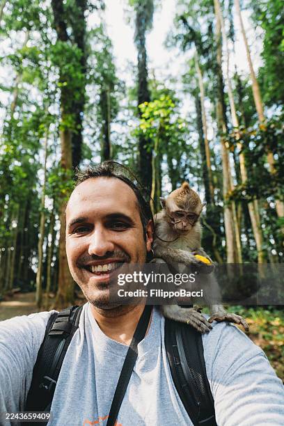 man taking selfie with monkey in forest - monkey selfie stock pictures, royalty-free photos & images