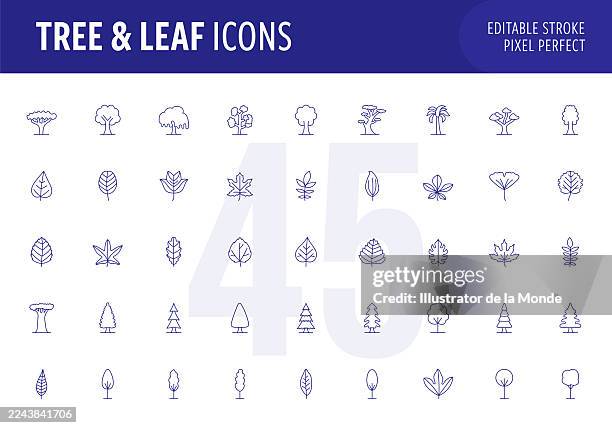 tree and leaf types editable stroke line icon set - ash tree stock illustrations