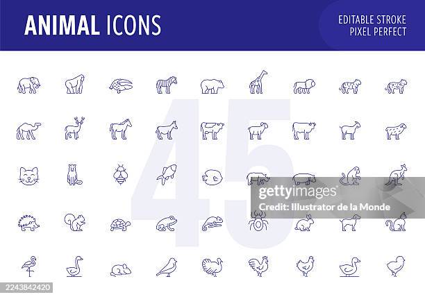 tierisches bearbeitbares strichlinien-icon-set - eigentlicher leguan stock-grafiken, -clipart, -cartoons und -symbole