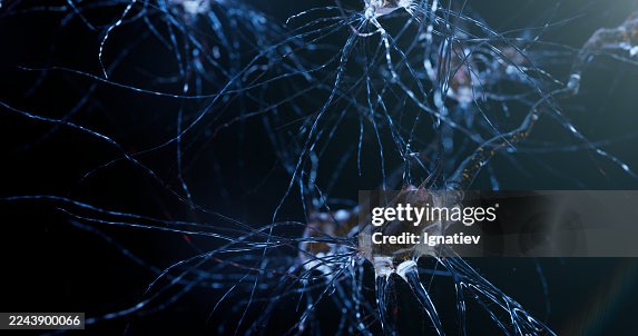Neural architecture visualized with glowing synaptic threads and alien patterns. Neural architecture visualized with glowing synaptic threads and alien patterns.