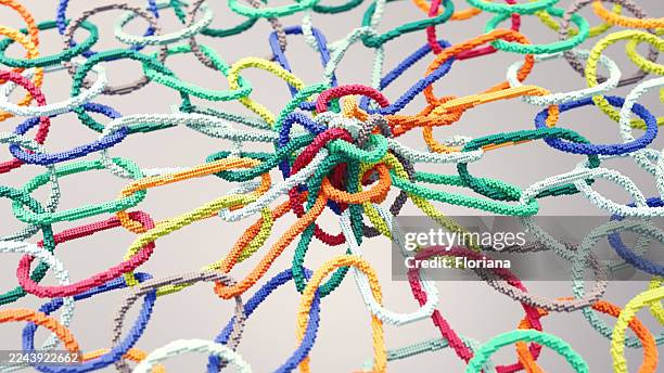 connection - träslag bildbanksfoton och bilder