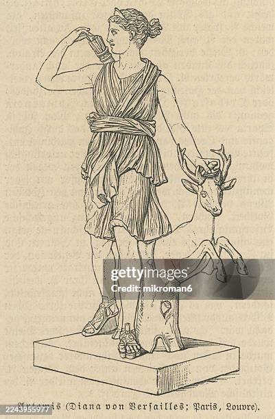 old engraved illustration of diana of versailles or artemis, goddess of the hunt - marble statue of the roman goddess diana (artemis) with a deer - artemis greek god stock pictures, royalty-free photos & images